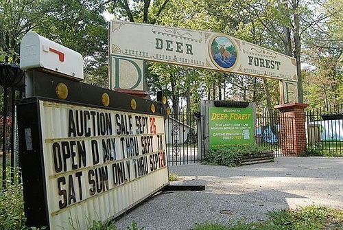 Deer Forest - Photos From Old Park Website (newer photo)